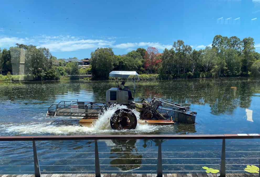Harvester makes short work of weeds